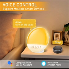 Sunrise Alarm Clock, Smart Wake Up Light Work with Alexa, 4 Alarms with FM Radio, 7 Nature Sounds & Snooze, 7 Colors Night Light