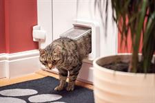 SureFlap Microchip Pet Gate for Cats and Dogs Door