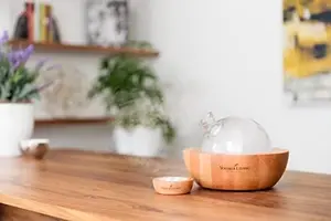 Young Living Essential Oils Aria Ultrasonic Aroma Diffuser Ambience at Home & Spa