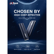 Dahua 256GB 3D NAND E900 NVMe M.2 PCIe Gen 3.0x4 SSD