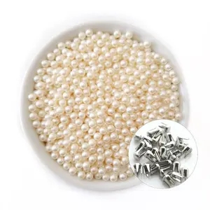 100 Pcs (50 Pearls / 50 Claw Nails) Pearl Setting Hand Press Machine Kit Shoes Claw Nails Hats Assortment