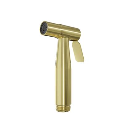 GOLDEN STAINLESS STEEL MUSLIM SHOWER SET