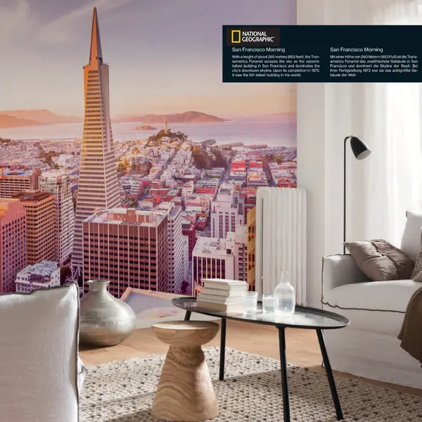 SAN FRANCISCO MORNING