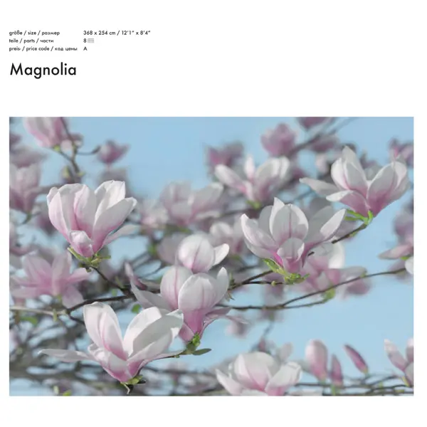 MAGNOLIA
