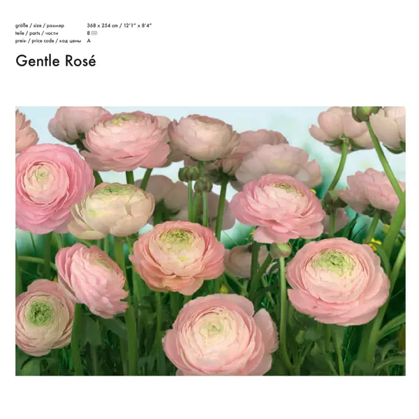 GENTLE ROSÉ