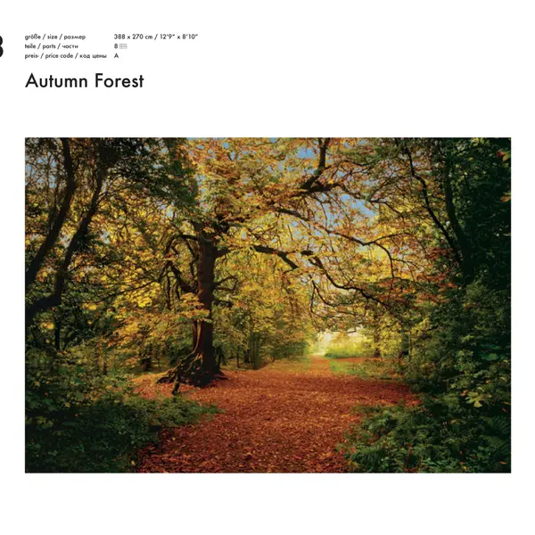 AUTUMN FOREST