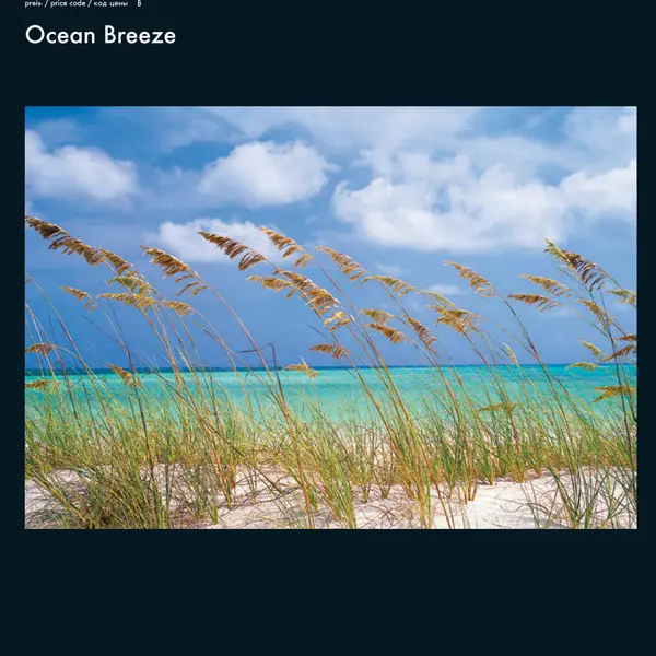 OCEAN BREEZE