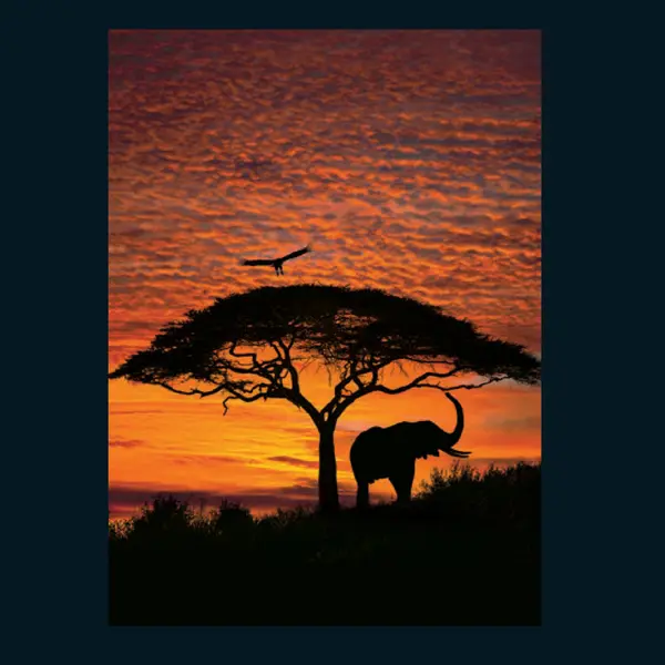AFRICAN SUNSET