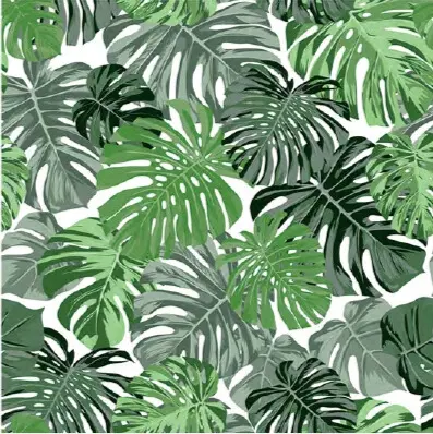 MONSTERA LEAVES NOTABENE WALLPAPER ROLLS