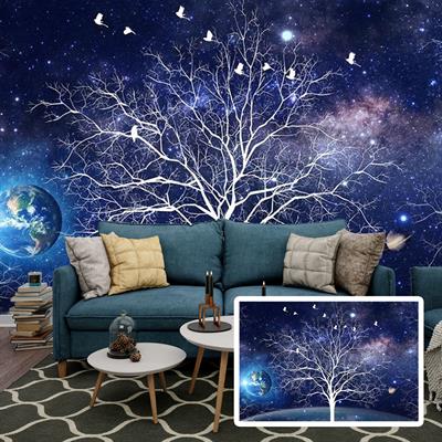 NIGHT SKY WONDER