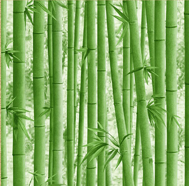 BAMBOO BLISS - CROWN WALLPAPER ROLLS