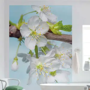 BLOSSOM