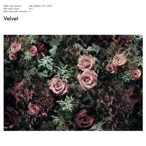 VELVET