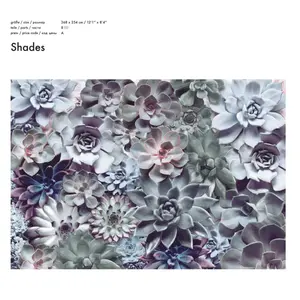 SHADES