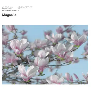 MAGNOLIA