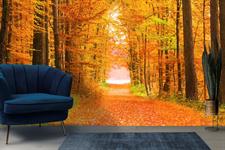 AUTUMN ROAD