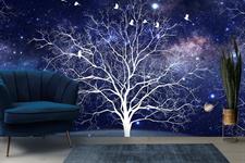 NIGHT SKY WONDER