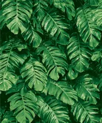 TROPICAL LEAVES - NOTABENE WALLPAPER ROLLS