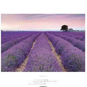 PROVENCE