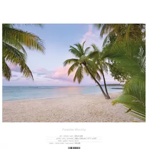 PARADISE MORNING