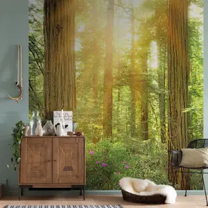 REDWOOD