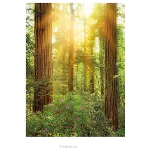 REDWOOD