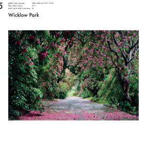 WICKLOW PARK
