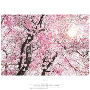 BLOOM