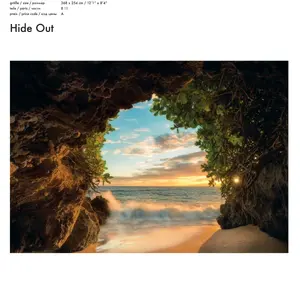 HIDE OUT
