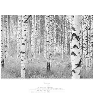 WOODS