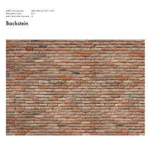 BACKSTEIN
