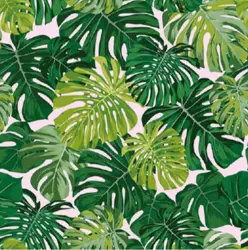 MONSTERA LEAVES NOTABENE WALLPAPER ROLLS