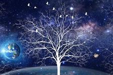 NIGHT SKY WONDER