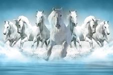 MAJESTIC HERD