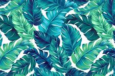 TRANQUIL TROPICS