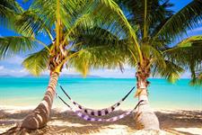 BEACH HAVEN