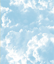CLOUD CANOPY - CROWN WALLPAPER ROLLS