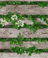 FLORAL FENCE - CROWN WALLPAPER ROLLS