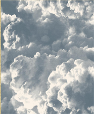 CLOUD CANOPY - CROWN WALLPAPER ROLLS