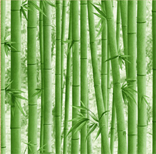 BAMBOO BLISS - CROWN WALLPAPER ROLLS