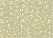 LEAFY BREZZE - STEPS WALL PAPER ROLLS