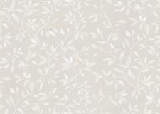 LEAFY BREZZE - STEPS WALL PAPER ROLLS