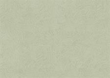TEXTURED TRAILS - STEPS WALL PAPER ROLLS
