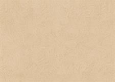 TEXTURED TRAILS - STEPS WALL PAPER ROLLS