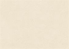 TEXTURED TRAILS - STEPS WALL PAPER ROLLS