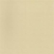DARKOUT ROLLER BLINDS | 6035