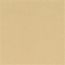 DARKOUT ROLLER BLINDS | R-6031
