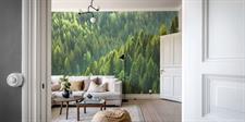 GREEN HAVEN