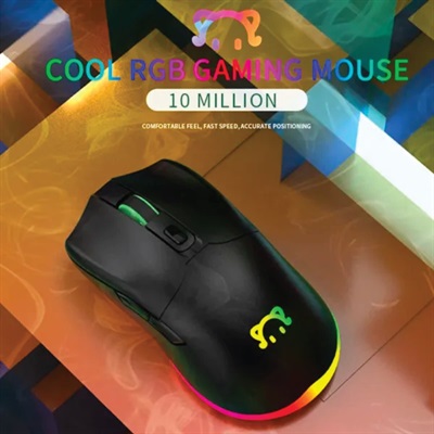 STM120 RGB Gaming Mouse