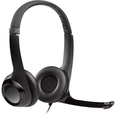 Logitech H390 USB Computer Headset